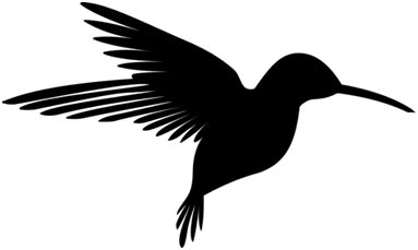 Temat 3: Algorytmy Googla. Cz. 4 Algorytm Koliber i jego wpływ na pozycjonowanie stron