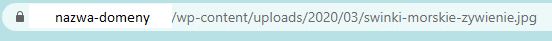 nazwa pliku adres url zdjecia